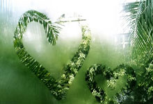 广发证券纳入MSCI中国指数